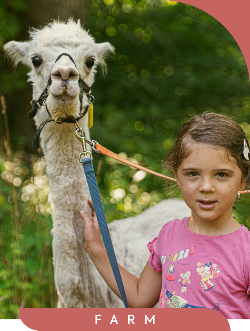 -Ca.Stella & Camping del Monte San Giorgio Sagl