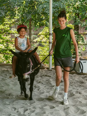 Ca.Stella & Camping del Monte San Giorgio Sagl - Tenda